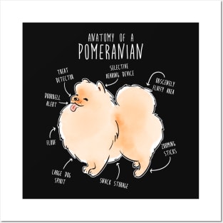 Pomeranian Anatomy Posters and Art